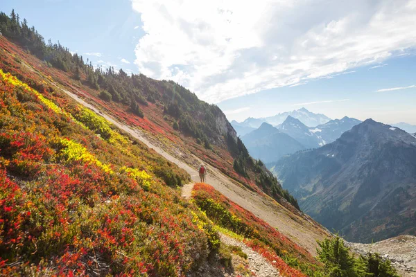 秋の山の中でハイキング 秋のテーマ — ストック写真