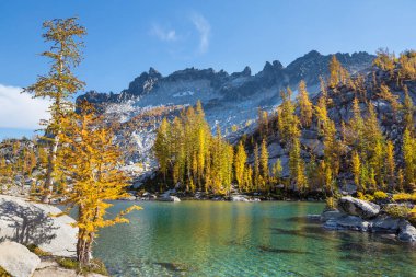Washington, ABD 'deki güzel Alp gölleri vahşi doğa alanı
