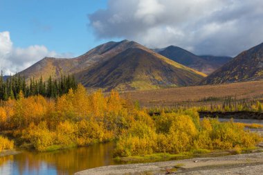 Tundra landscapes above Arctic circle in autumn season. Beautiful natural background.