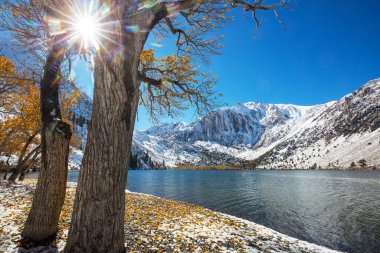Sierra Nevada Dağı 'nın manzarası. Sonbahar yaprakları. Kaliforniya, ABD.