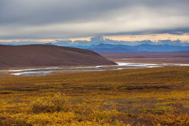 Tundra landscapes above Arctic circle in autumn season. Beautiful natural background.