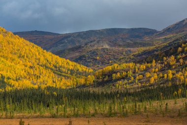 Autumn season in mountains. Colorful natural background.