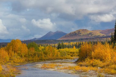 Mavi nehirde sonbahar mevsimi
