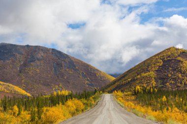Ormanın kırsal kesiminde renkli sonbahar manzarası