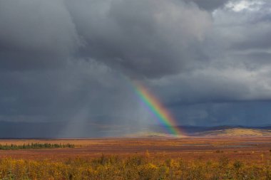Alaska otoyolunun üzerinde parlak renkli doğal gökkuşağı. - Evet. Doğal arka plan için iyi..