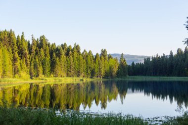 Yaz mevsiminde şafakta göl kıyısında