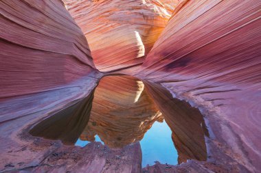 The Wave, Arizona, Vermillion Cliffs, Paria Canyon State Park, ABD. İnanılmaz doğal bir geçmiş.