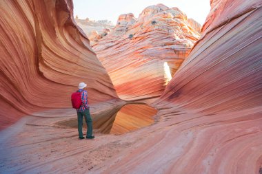 The Wave, Arizona, Vermillion Cliffs, Paria Canyon State Park, ABD. İnanılmaz doğal bir geçmiş.