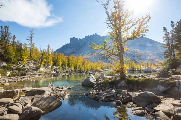 Hermosa Zona Salvaje Los Lagos Alpinos Washington — Foto de Stock