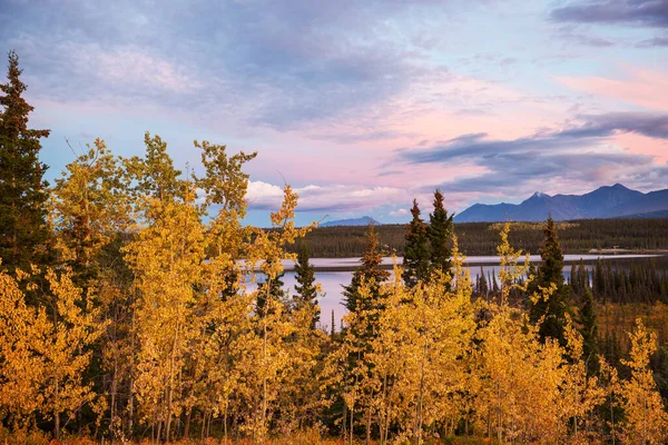 Красивый Осенний Сезон Канадских Горах Осенний Фон — стоковое фото