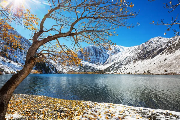 Blick Auf Die Sierra Nevada Herbst Laublandschaft Kalifornien Usa — Stockfoto