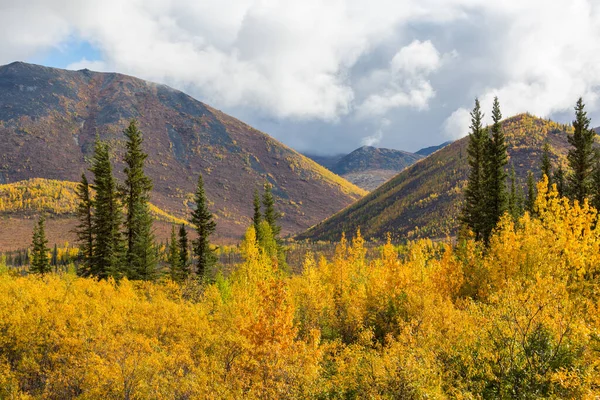 Autumn Season Mountains Colorful Natural Background — Photo
