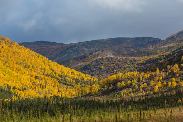 Autumn Season Mountains Colorful Natural Background — Zdjęcie stockowe