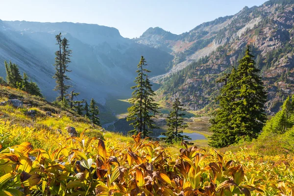 Autumn Season Mountains Colorful Natural Background — Φωτογραφία Αρχείου