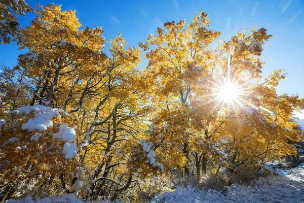 Invierno Temprano Las Montañas — Foto de Stock