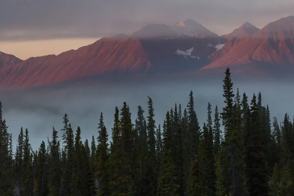 Vue Pittoresque Sur Montagne Dans Les Rocheuses Canadiennes Été — Photo