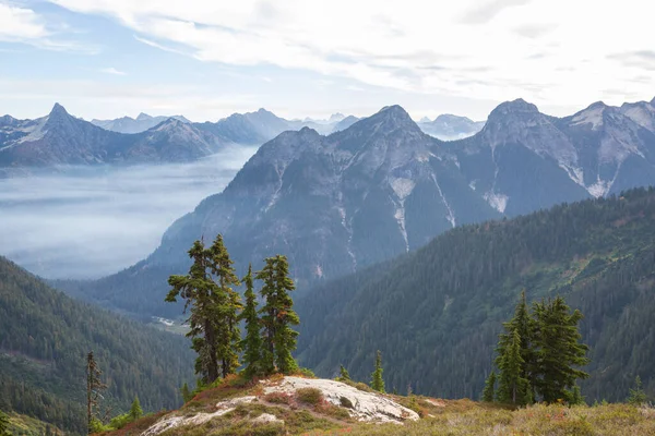 Vacker Bergstopp Norra Cascade Range Washington Usa — Stockfoto