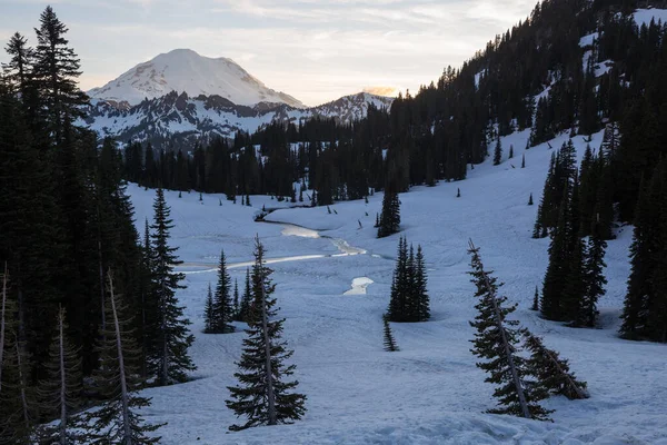 Parc National Mont Rainier Lever Soleil États Unis Washington — Photo