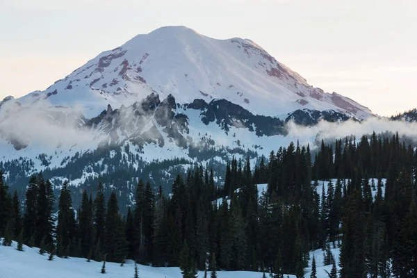 Parc National Mont Rainier Lever Soleil États Unis Washington — Photo