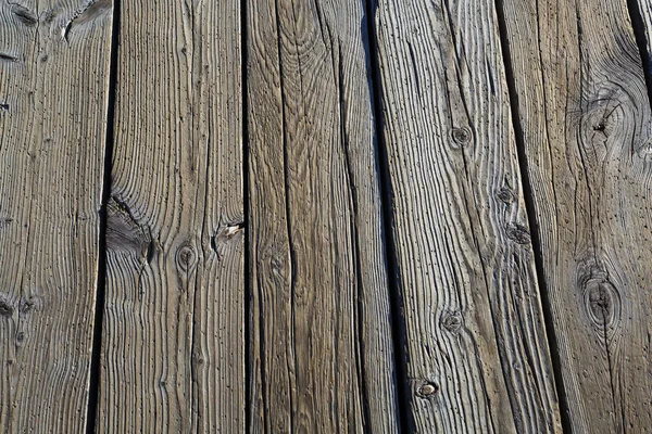 Brown Wood Texture Background Araucaria Cortex — Stock Photo, Image