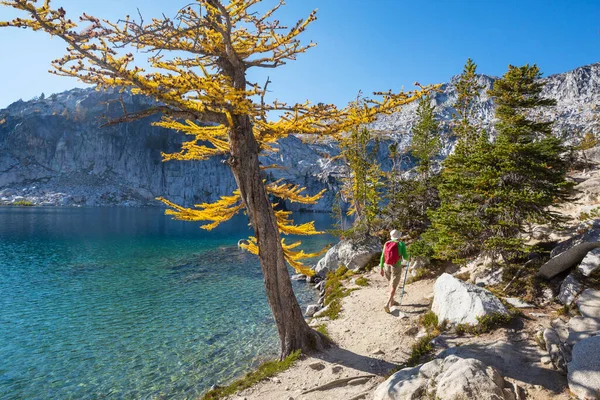 Wandelen Herfstbergen Herfstseizoen Thema — Stockfoto