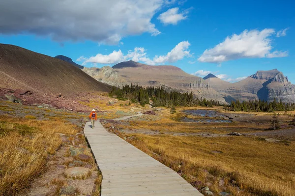 Caminhada Parque Nacional Glacier Montana — Fotografia de Stock