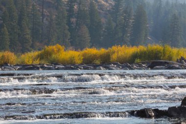 Mavi nehirde sonbahar mevsimi