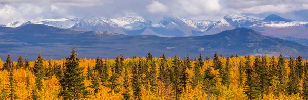Piękny Sezon Jesienny Kanadyjskich Górach Kontekst Upadku — Zdjęcie stockowe