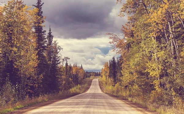 Scène Automne Colorée Sur Route Campagne Dans Forêt — Photo