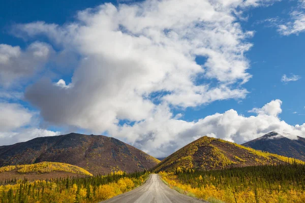 Colorata Scena Autunnale Sulla Strada Campagna Nella Foresta — Foto Stock