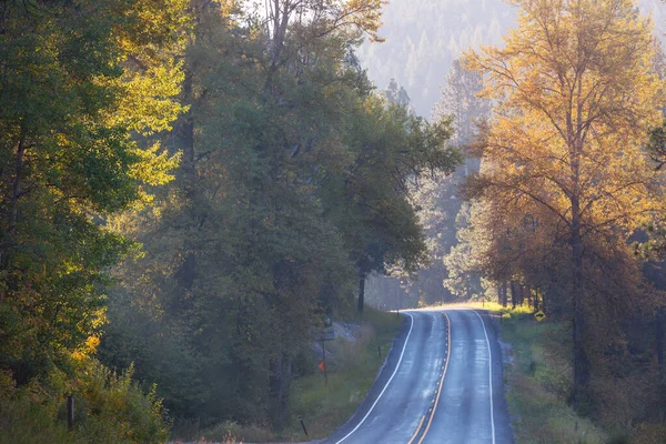 Colorful Autumn Scene Countryside Road Forest — Stock Photo, Image