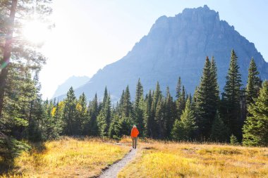 Buzul Ulusal Parkı 'nda yürüyüş, Montana