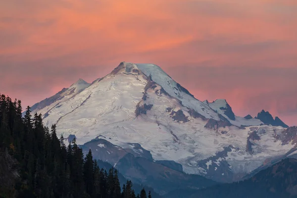 Parque Nacional Mount Rainier Nascer Sol Eua Washington — Fotografia de Stock