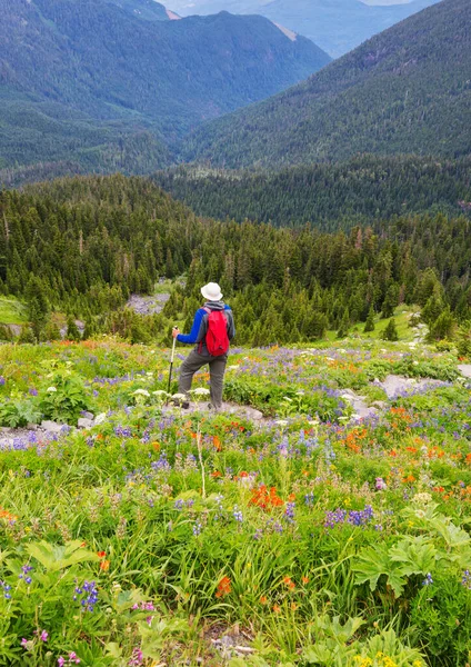 Man Vandring Regnbåge Bakgrund Vackra Naturlandskap — Stockfoto