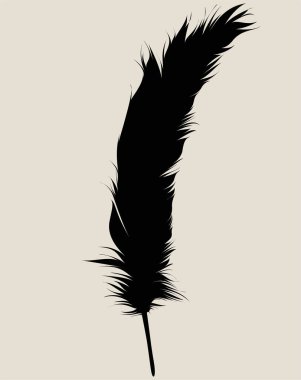 Beyaz arkaplanda tüy