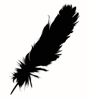 Tüy ikonu. siyah ve beyaz vektör çizimi.