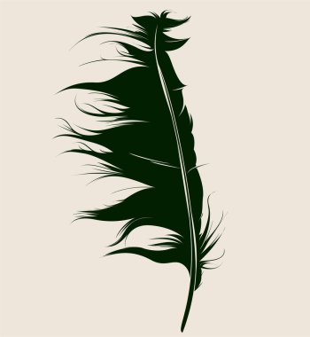 Tüy ikonu. vektör illüstrasyonu