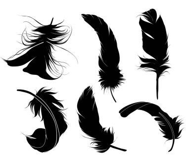 Beyaz arka planda tüy silueti