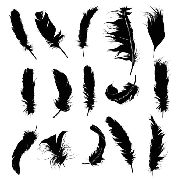 Conjunto Plumas Negras Aisladas Sobre Fondo Blanco — Vector de stock