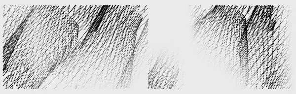 抽象的牢骚背景 单色纹理 黑色和白色纹理 — 图库矢量图片