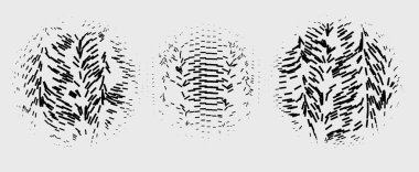 bir dizi lastik izinin siyah ve beyaz vektör çizimi.