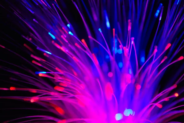The purple optical fibers with black background. — Stock Photo, Image