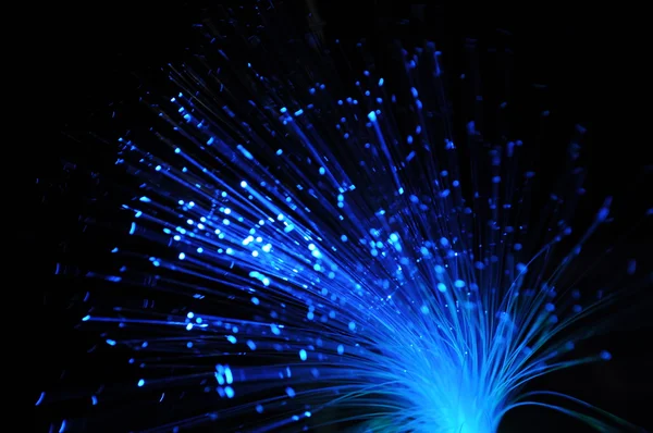 The purple optical fibers with black background.