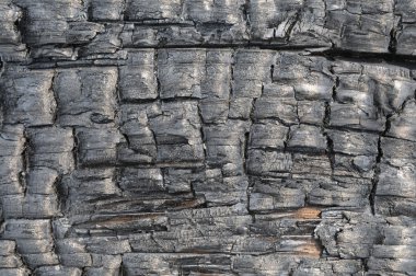 Yanmış ahşap dokusu