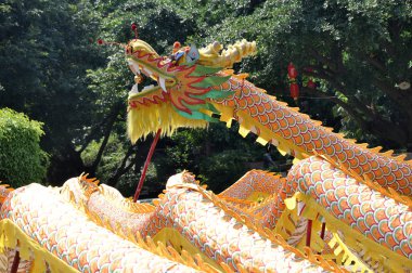 dragon festivali Çin yeni yılı dans