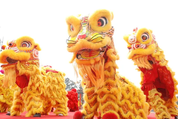 Китайцы танцуют танец льва в честь наступающего Нового года . Стоковое Фото