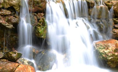 güzel şelaleler ve akışında uzun pozlama ortasında yemyeşil bitki örtüsü.