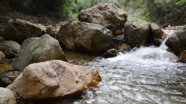 Riacho de fluxo no vale pedregoso — Vídeo de Stock