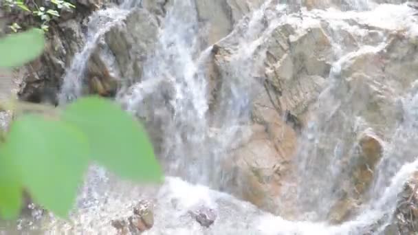 Riacho de fluxo no vale pedregoso — Vídeo de Stock