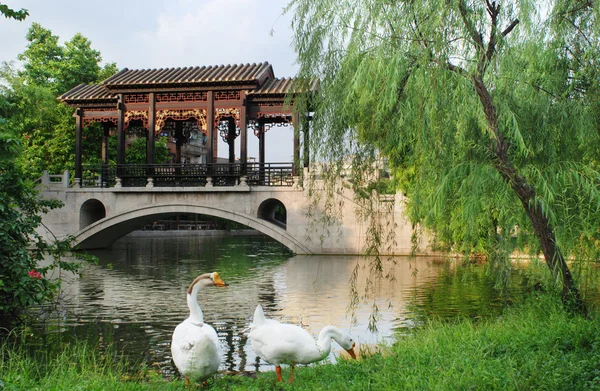 Architettura tradizionale storica della Cina — Foto Stock